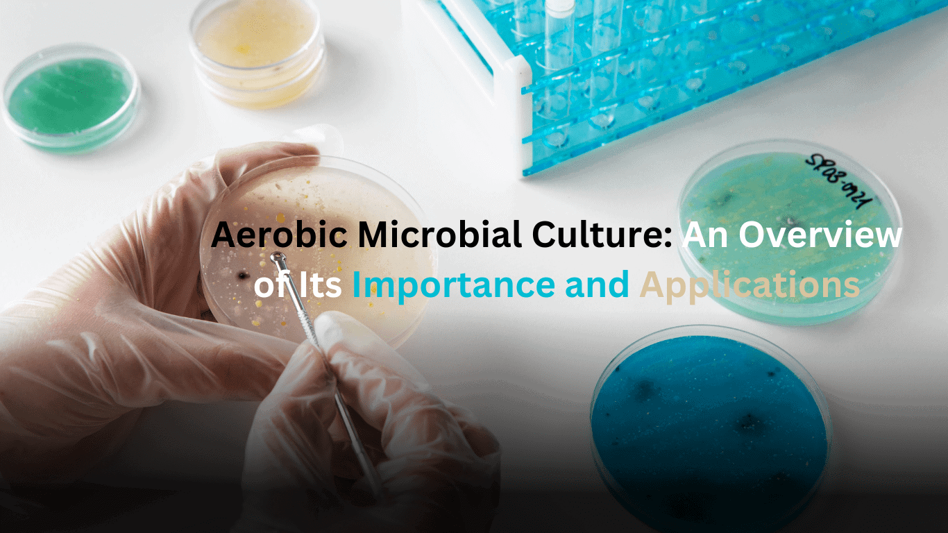 Aerobic Microbial Culture An Overview of Its Importance and Applications min
